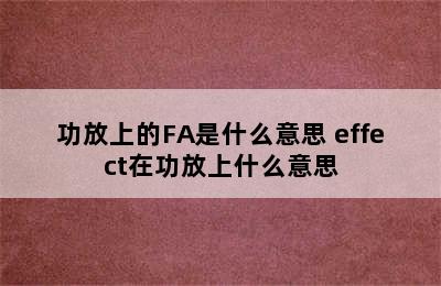 功放上的FA是什么意思 effect在功放上什么意思